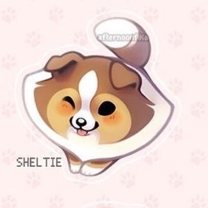 Meet your Posher, Toto